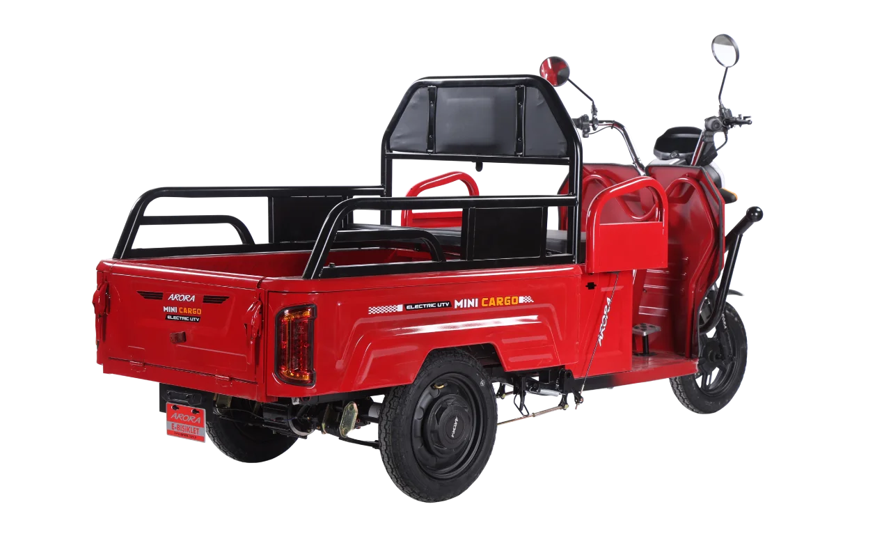 mini-cargo-web-4_617